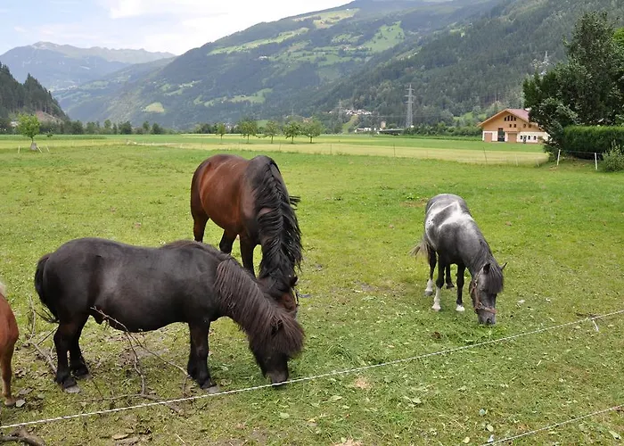 Apartamento Alpenresidenz-sonnwend